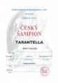 /album/tarantella-i-bravi-ragazzi/i-bravi-ragazzi-tarantella-cesky-sampion-jpeg-jpg/